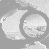 Holistic Brand Governance