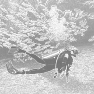 Deep Dive Customer Research