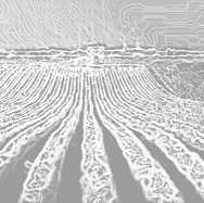 Field of Play Expansion